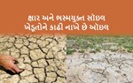 ખેડૂતોએ જાણવા જેવું : ક્ષારીય અને ભાસ્મિક જમીનનું વ્યવસ્થાપન અને તેની સુધારણા