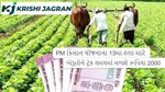 PM કિસાન યોજનાના 13મા હપ્તા માટે ખેડૂતોને ટૂંક સમયમાં  મળશે રૂપિયા 2000 , વડાપ્રધાન મોદીએ કરી જાહેરાત
