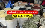 આયાતકારો માટે કઠોળની સ્ટોક મર્યાદા હટાવાયી