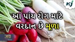 સ્વાસ્થ્ય માટે ખૂબબ ફાયદાકારક છે મૂળા, આ પાંચ રોગ તરત જ થઈ જશે ઠીક