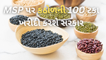 MSP હેઠળ ગુજરાતના ખેડૂતો પાસેથી કઠોળની 100 ટકા ખરીદી કરશે ભારત સરકાર