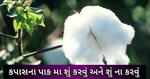 કપાસના પાકમાં પિયતની વિવિધ પદ્ધતિઓમાં સૌથી સારી પદ્ધતિ કઈ છે ? જાણો