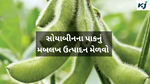 Soybean Crop : ગુણવત્તાયુક્ત બિયારણનો ઉપયોગ કરો 