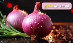  Onion Price: ડુંગળીના ભાવથી એક બાજુ ખુશી તો બીજી બાજુ ચિંતાનું માહોલ 