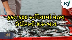 ખેતીના સાથે જ કરો માછલી ઉછેરનું વ્યવસાય,ફકત 500 રૂપિયાથી કરો શરૂઆત  