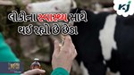 લો બોલો...હવે દૂધ પણ નથી સુરક્ષિત, હાઈકોર્ટે પશુપાલન મંત્રાલયને પાઠવ્યું નોટિસ