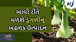 Onion Farming: આ ત્રણ રીતથી કરશો ડુંગળીની ખેતી તો મળશે અઢળક ઉત્પાદન