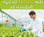 શિયાળું પાકની વાવાણીને લઈને ખેડૂતો માટે વૈજ્ઞાનિકોએ શેયર કરી મહત્વપૂર્ણ એડવાઈઝરી