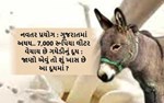 નવતર પ્રયોગ : ગુજરાતમાં અધધ.. 7,000 રૂપિયા લીટર વેચાય છે ગધેડીનું દૂધ : જાણો એવું તો શું ખાસ છે આ દૂધમાં ?