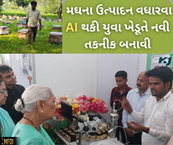 આ યુવા ખેડૂતે મેળવી મોટી સિદ્દી, AI થકી મઘનું ઉત્પાદન કર્યા બદલ રાજ્યપાલે કર્યો બહુમાન 