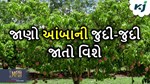 જાણો ગુજરાતમાં વાવવામાં આવતી આંબાની જુદી-જુદી જાતો વિશે