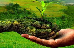 આ ત્રણ ઓર્ગેનિક ખાતર છે પાક માટે વરદાન, ઓછા ખર્ચે મળશે અઢળક ઉત્પાદન 