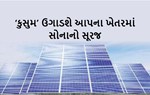   સૌર ઊર્જાને પ્રોત્સાહનઃ સૌર પૅનલ લગાવવા PM કુસુમ યોજના અને સસ્તી લોન વિશે જાણો