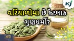 વરિયાળીમાં છે એટલા ગુણધર્મો કે તમે જાણીને ચોંકી જશો, મોટા-મોટા રોગોમાં છે ફાયદાકારક