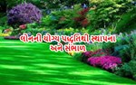 લોનની યોગ્ય પદ્ધતિથી સ્થાપના અને સંભાળ રાખવાની વૈજ્ઞાનિક રીત