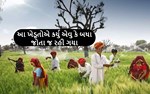 ગુજરાત અને રાજસ્થાનના ખેડૂતોએ ખેતી કરવાની અપનાવી નવી પદ્ધતિ