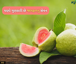 Health Benefits: દરરોજ એક જામફળનું સેવન આપશે 10 થી વધુ સ્વાસ્થ્ય લાભ