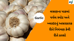  Garlic Crops : લસણના પાકમાં પર્પલ સ્પોટ અને બ્લાઇટનું અસરકારક રીતે નિયંત્રણ કેવી રીતે કરશો