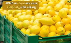 એલપીજી પછી હવે લીંબુ ચલાવશે ખિસ્સા પર કાતર, APMCમાં આસમાને પહોંચ્યા ભાવ