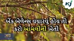 Tamarind cultivation: આમલીની ખેતી છે નફાકારક સોદો, ઓછા રોકાણમાં આપશે મોટી આવક