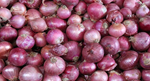 Onion in India: સમગ્ર વિશ્વમાં ભારતીય ડુંગળીની માંગમાં વધારો, નિકાસમાં થયો 64 ટકાનો વધારો