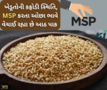 એમએસપી કરતા ઓછા ભાવે વેચાઈ રહી છે બાજરી, આ 7 પાકોની પણ છે એજ પરિસ્થિતિ