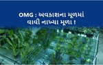 OMG અદ્ભુત સંશોધનઃ વૈજ્ઞાનિકાઓ પહેલી વાર અંતરિક્ષમાં ઉગાડ્યા મૂળા !