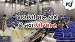 ટૂંક સમયમાં વધુ બે નવા પ્લાન્ટ શરૂ કરશે મધર ડેરી, પશુપાલકોને થશે ફાયદા