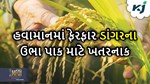 તાપમાનમાં ફેરફારને કારણે ડાંગરને અસર કરી રહ્યા છે આ ખતરનાક રોગ, તેને આ રીતે અટકાવો