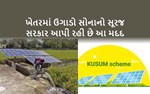 પીએમ કુસુમ યોજના : 90 ટકા વળતર સાથે લગાવો સોલાર પંપ, જાણો કેવી રીતે કરશો અરજી ?