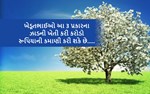 ખેડૂત આ 3 પ્રકારના ઝાડની ખેતીથી કરી શકે છે કરોડો રૂપિયાની કમાણી..