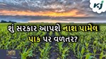 શું જંગલી પ્રાણિઓના હુમલાથી નુકસાન પામેલ પાક પર મળશે વળતર, સરકારે આપ્યો તેનો જવાબ
