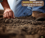 ખેતીમાં ઉપયોગ થશે આ 5 પરિબળ તો ક્લાઇમેટ ચેંજની અસરમાં થઈ જશે ઘટાડો:રિપોર્ટ