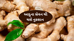 Ginger Side Effects : આદુનું વધારે પડતુ સેવન કરવાથી થઈ શકે છે સ્વાસ્થ પર આડ અસરો