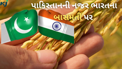 પાકિસ્તાન ગેરકાયદેસર ઉગાડી રહ્યો છે ભારતીય બાસમતીની જાતો,ભારતે યુરોપિયન યુનિયનને આપ્યો પુરાવો