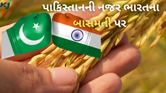 પાકિસ્તાન ગેરકાયદેસર ઉગાડી રહ્યો છે ભારતીય બાસમતીની જાતો,ભારતે યુરોપિયન યુનિયનને આપ્યો પુરાવો