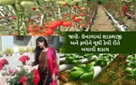 જાણે- ઉનાળામાં શાકભાજી અને ફળોને લૂથી કેવી રીતે બચાવી શકાય