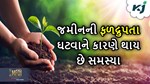 પાકમાં સૂક્ષ્મ પોષકતત્વો ભજવે છે મહત્વની ભૂમિકા, જાણો તેમની ઉણપને કારણે થતી સમસ્યાઓ વિશે