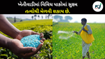 Micronutrients: ખેતીવાડીમાં વિવિધ પાકોમાં સુક્ષ્મ 