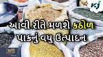 કઠોળ પાકની ખેતી પહેલા આવી રીતે કરો જમીનની તૈયારી, જાણો સંપૂર્ણઁ માહિતી