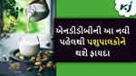 NDDB: એક સાથે બે કામ, પશુપાલકોને ફાયદાના સાથે લોકો સુધી પોહંચશે શુદ્ધ દૂધ