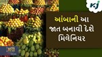 કેરીની આ જાત ઉગાડીને ખેડૂતો મેળવી શકે છે મોટી આવક, ફક્ત બે કિલો આંબા વેચીને ખરીદી શકશે ટ્રેક્ટર