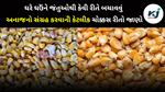 Wheat: ઘરે ઘઉંને જંતુઓથી કેવી રીતે બચાવવું