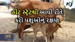 પશુઓનું ઉનાળા દરમિયાન ગરમી(હીટ સ્ટ્રેસ)થી રક્ષણ