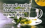 ભરગરમીમાં પણ ચા : ઉનાળાના તાપમાં ઠંડક આપશે આ ચા