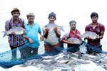 પ્રધાનમંત્રી મત્સ્ય સંપદા યોજના (PMSSY) ડેશબોર્ડની શરૂઆત