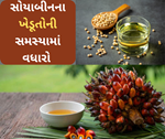 પામ ઓઇલની કિંમતમાં વધારાથી સોયાબીનના ખેડૂતો મુંઝવણમાં મુકાયા