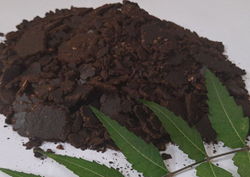 Neem Cake : લીમડાનું કેક ખાતર શું છે, જાણો તેના ફાયદા અને કિંમત