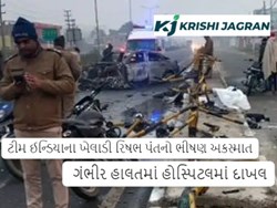 ટીમ ઈન્ડિયાના ખેલાડી રિષભ પંતનો ભીષણ અકસ્માત, ગંભીર હાલતમાં હોસ્પિટલમાં દાખલ