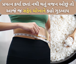 ડાઇટિંગ કર્યા પછી પણ વધી રહ્યો છે વજન,આજે જ સફેદ ચોખા છોડીને અપનાની લઉ આ 5 વિકલ્પ